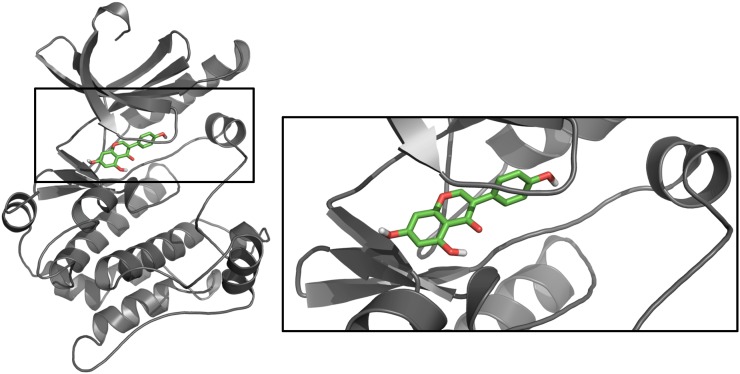 FIGURE 2.