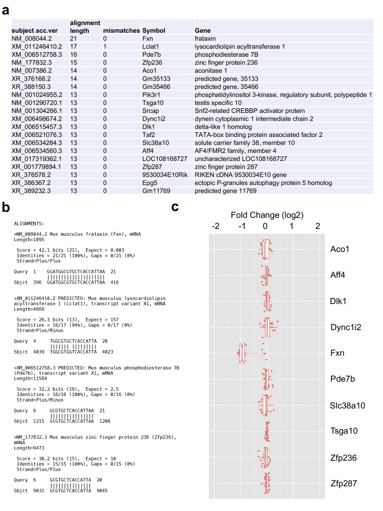 Figure 1—figure supplement 2.