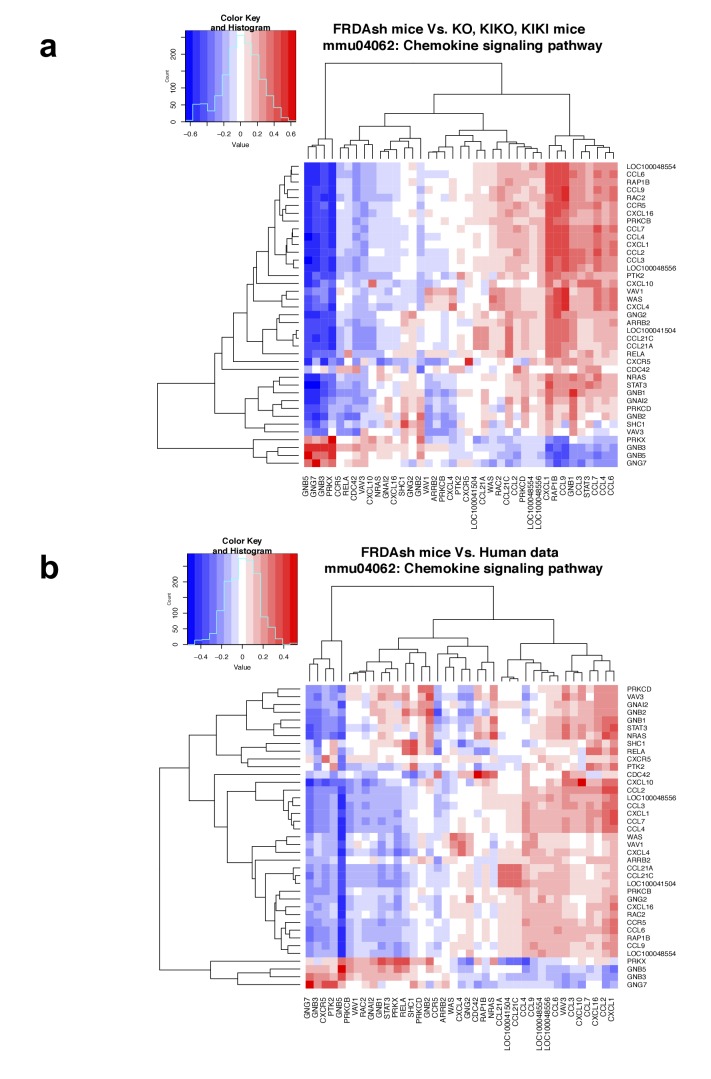 Figure 7—figure supplement 2.