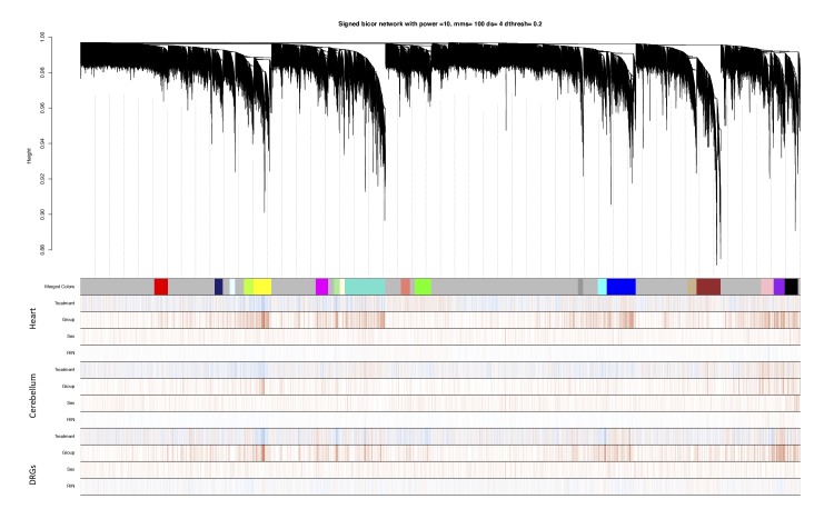 Figure 7—figure supplement 3.