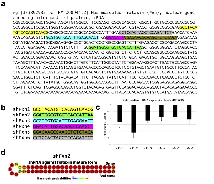 Figure 1—figure supplement 1.