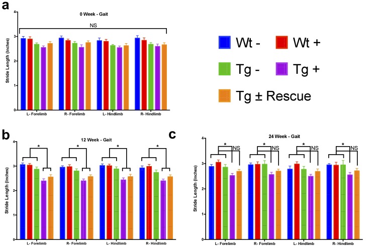 Figure 2—figure supplement 1.