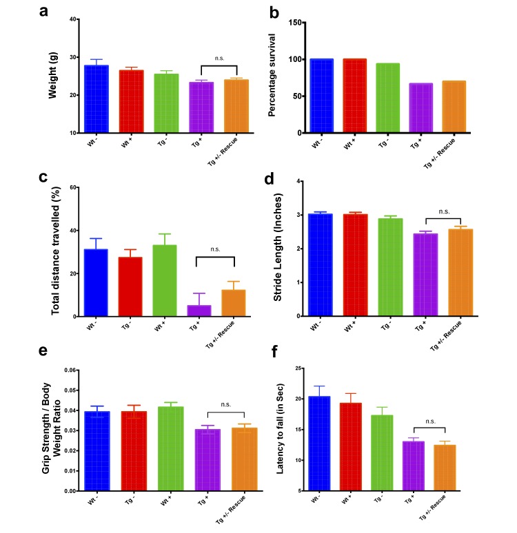 Figure 2—figure supplement 2.