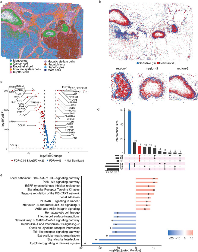 Fig 6: