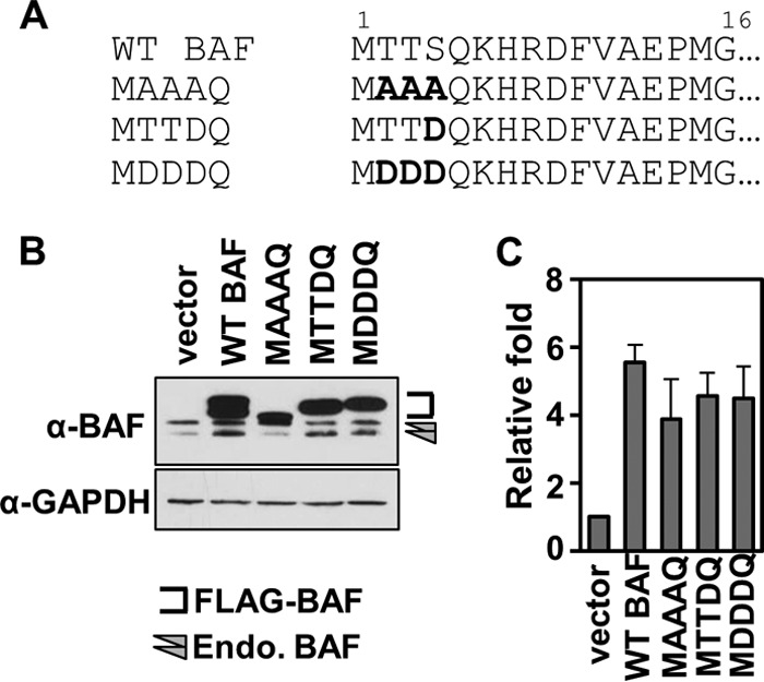 FIG 1