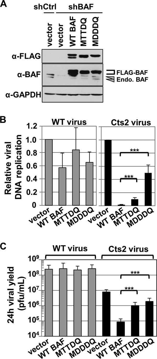 FIG 6