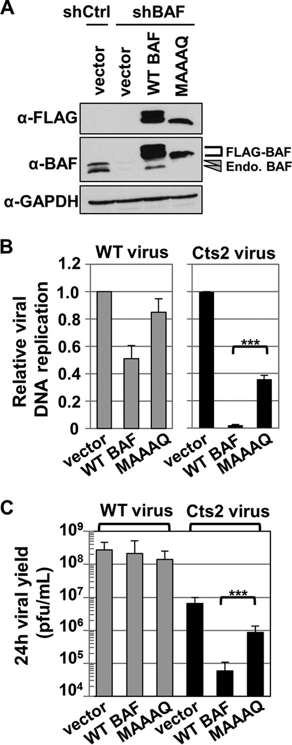 FIG 7