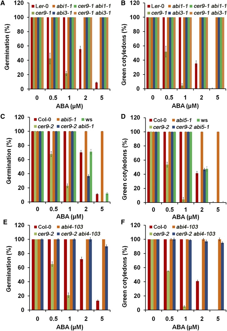 Figure 11.