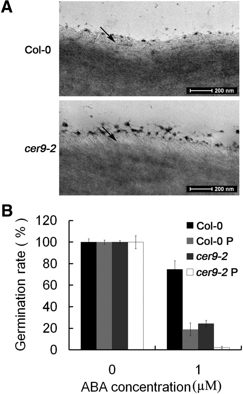 Figure 7.