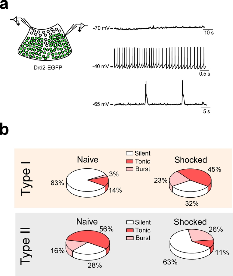 Extended Data Fig. 4