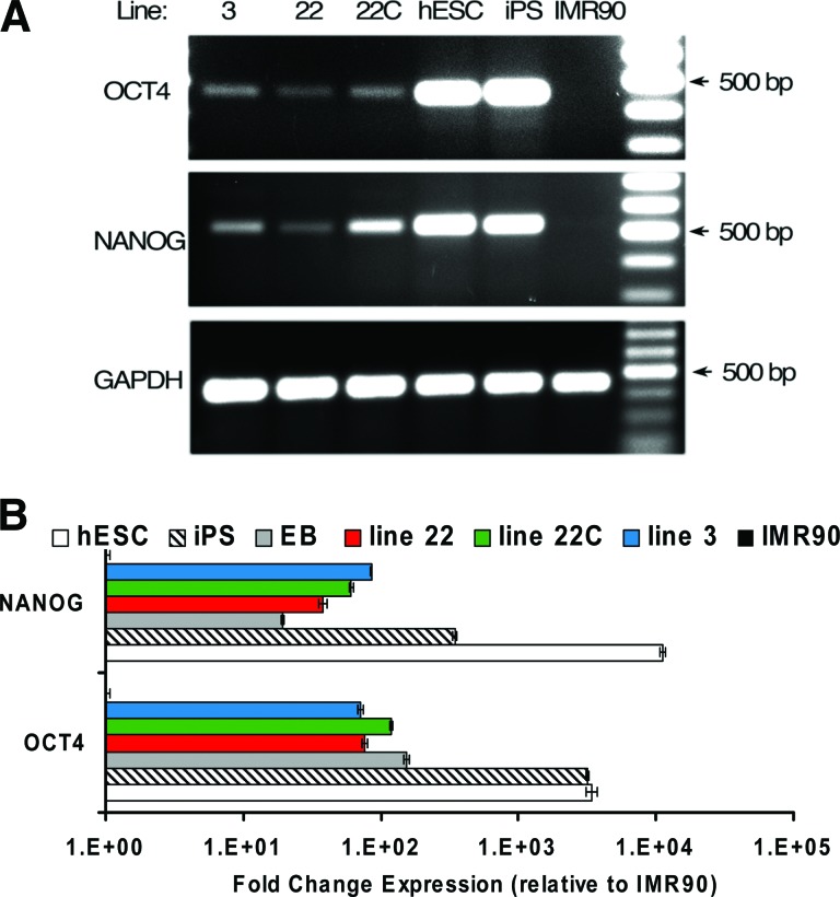 Figure 3.