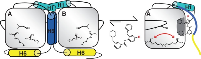 Figure 20