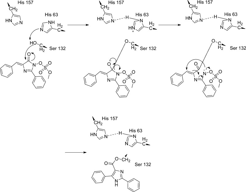 Scheme 2