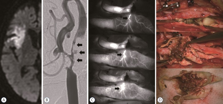 Fig. 2.