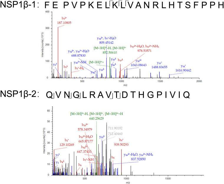 FIG 8