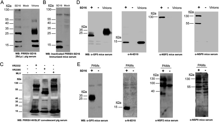 FIG 1