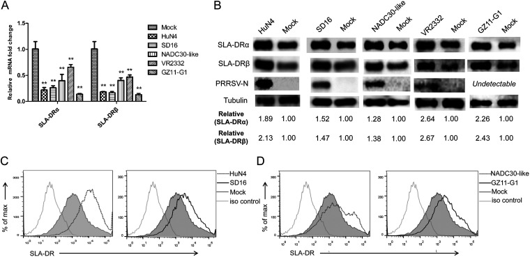 FIG 4