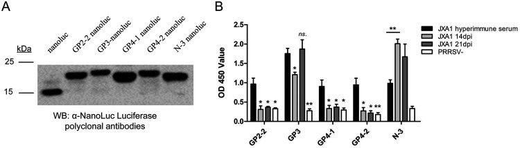 FIG 11