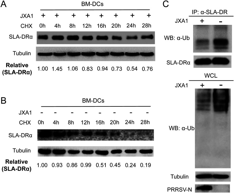 FIG 6