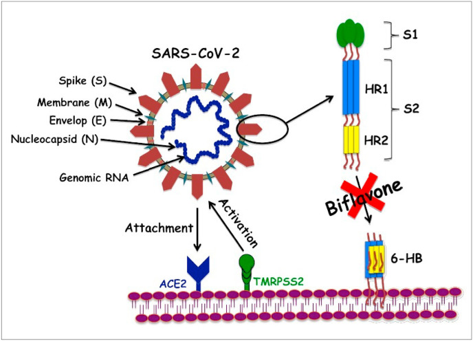 Scheme 2