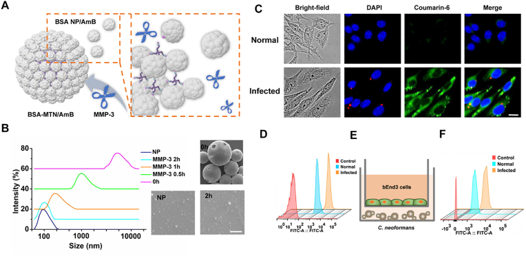 Figure 3