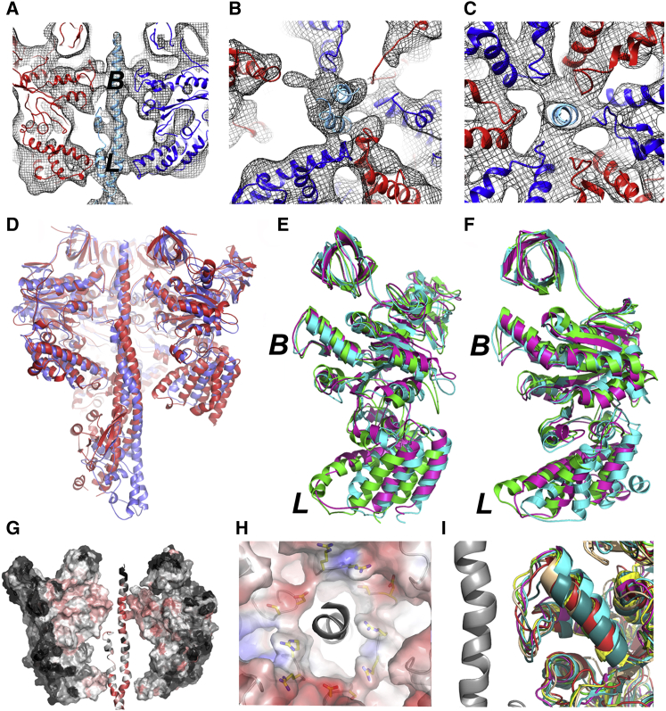 Figure 3