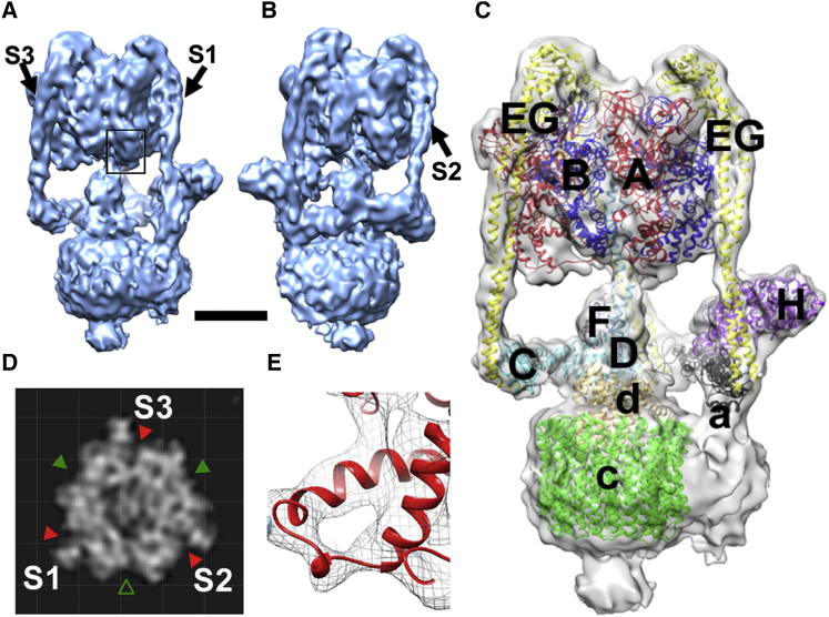 Figure 1