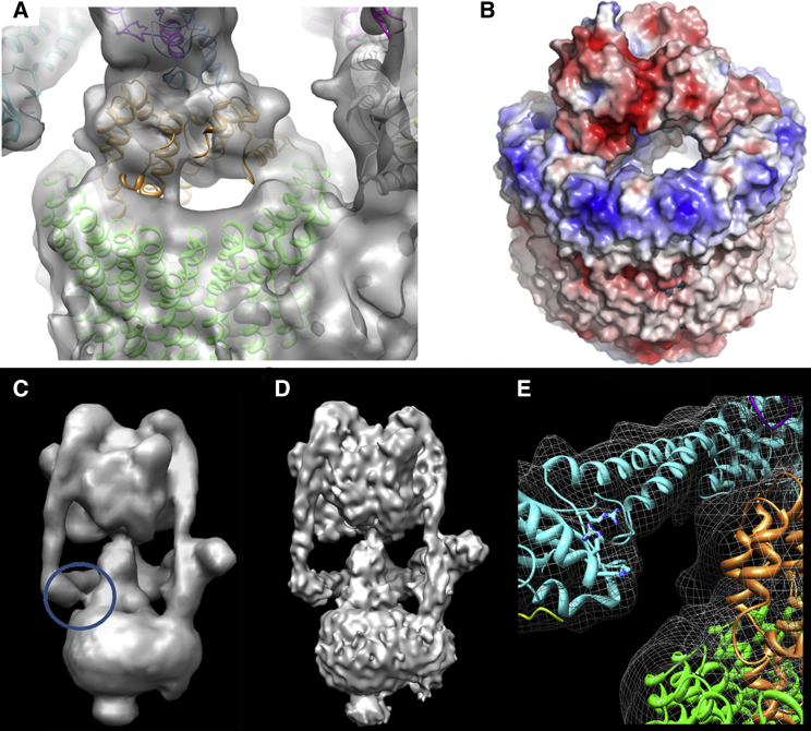 Figure 4