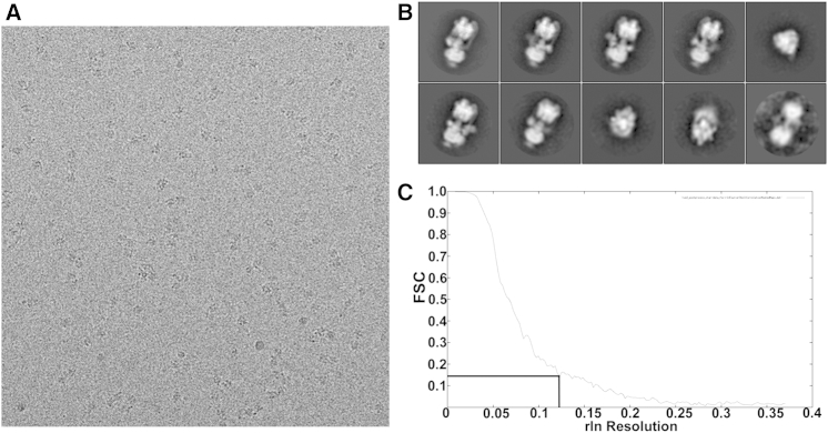 Figure 7