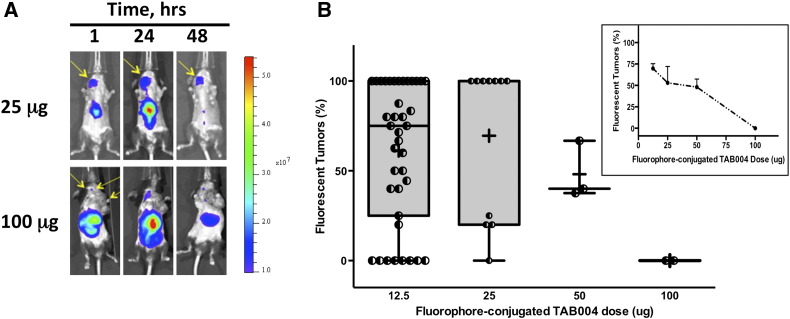 Figure 3