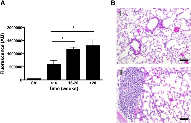 Figure 6