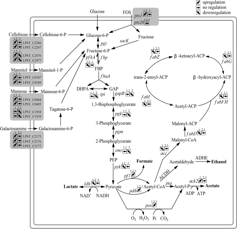 Fig. 4