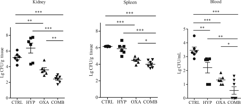 Fig. 6