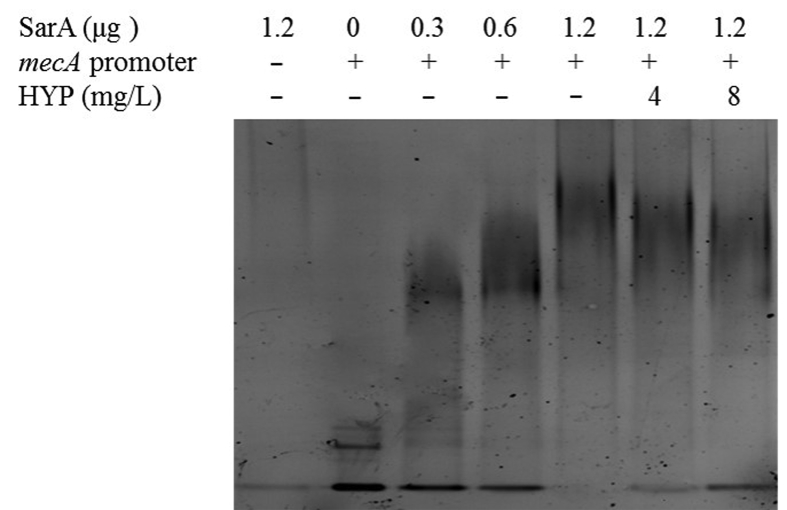 Fig. 5