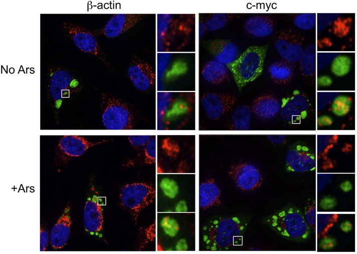 FIGURE 4: