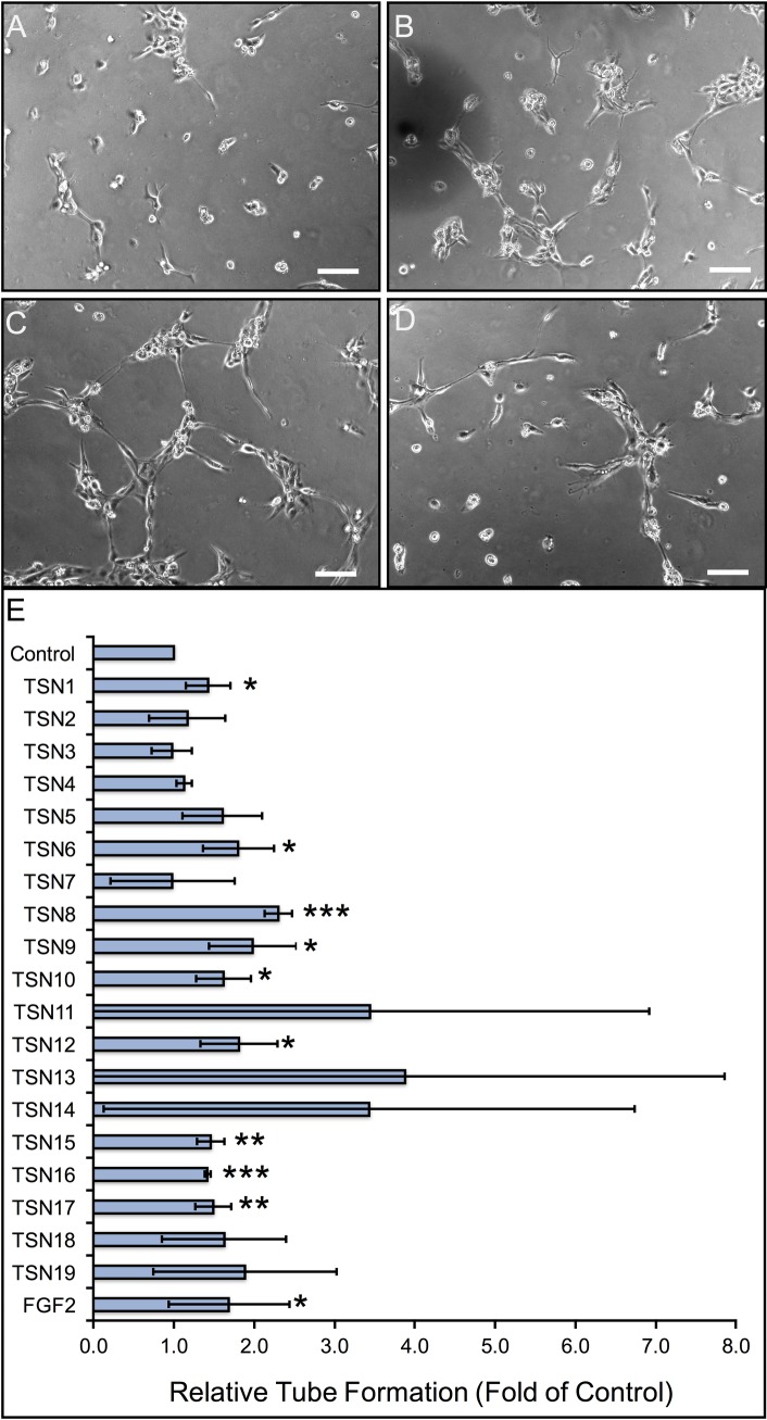 Fig 4