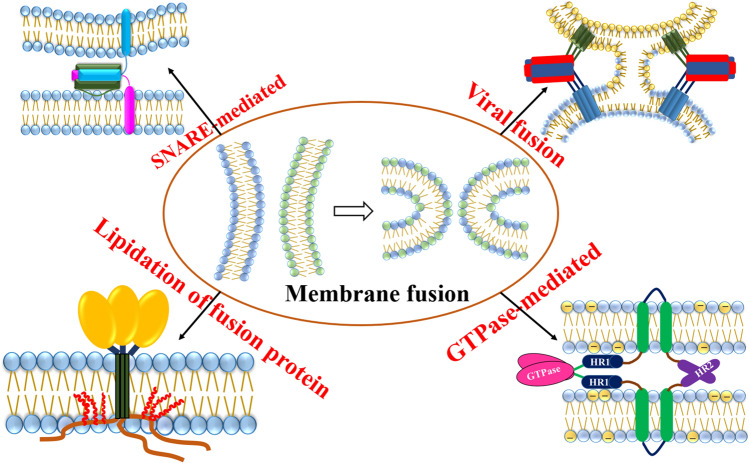 graphic file with name 232_2022_267_Figa_HTML.jpg