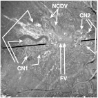 Fig. 18