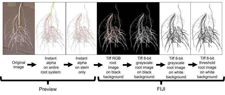 Figure 5