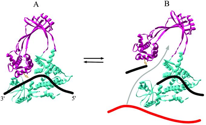 Fig 1.