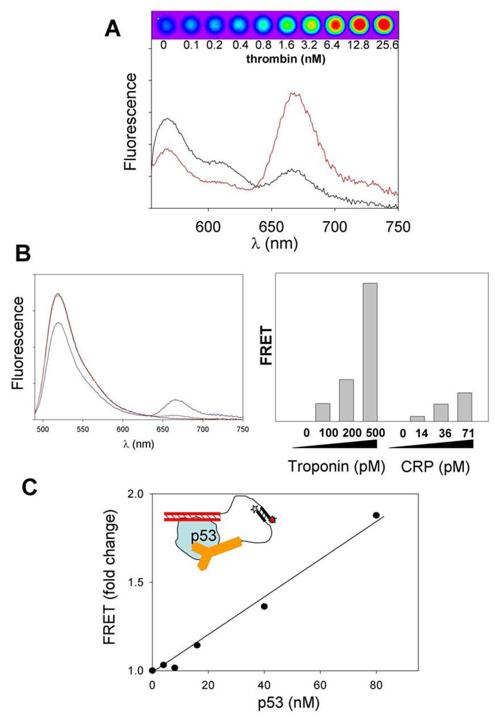 Fig. 2