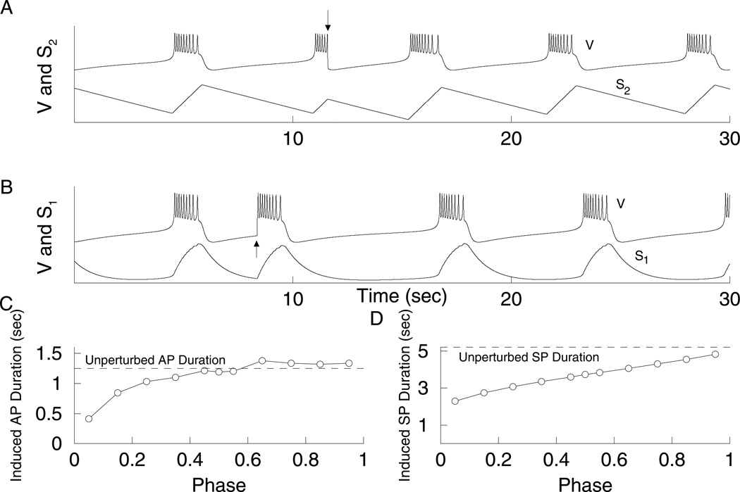 Figure 12