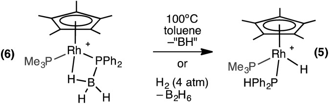 Scheme 8