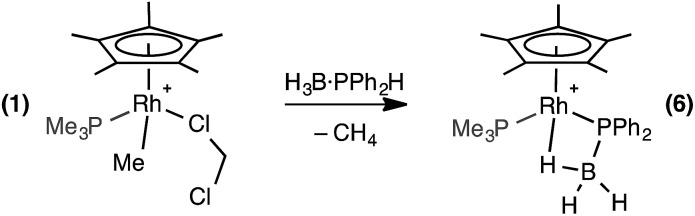 Scheme 7