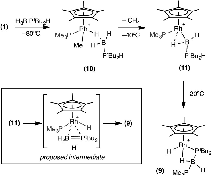 Scheme 9