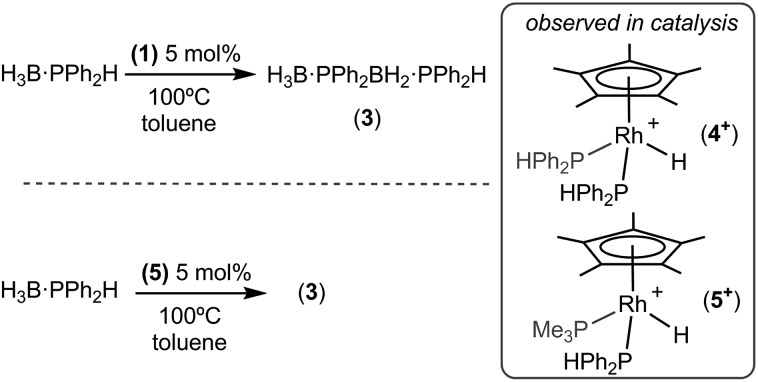 Scheme 6