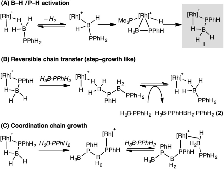 Scheme 12