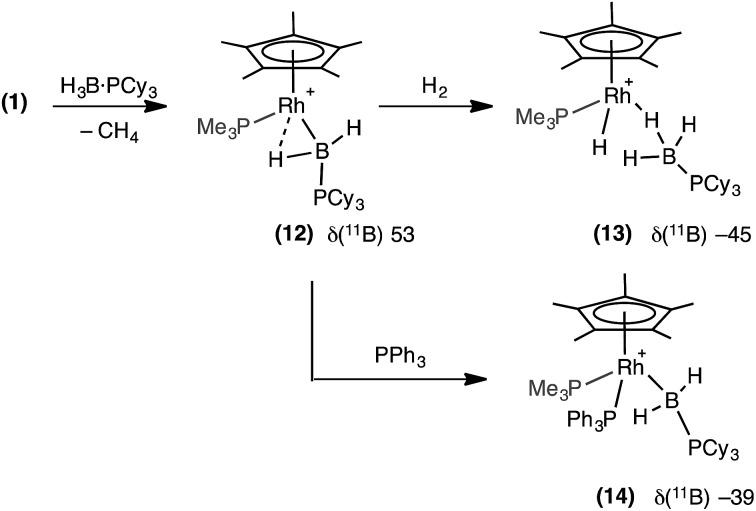 Scheme 10