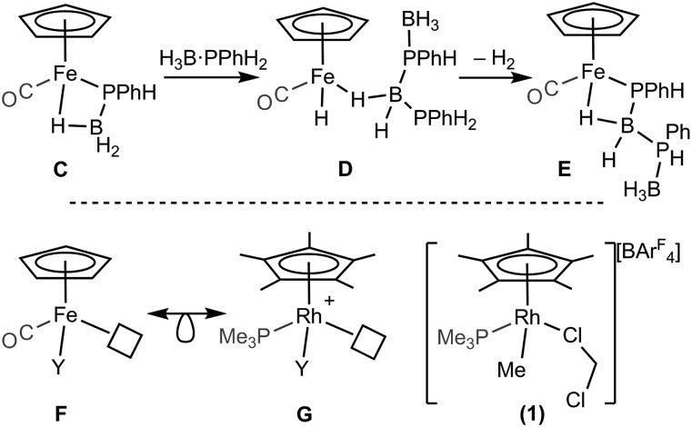 Scheme 3