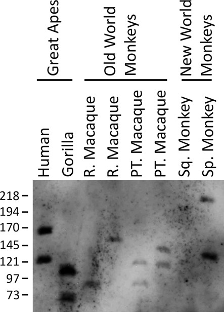 Figure 7.